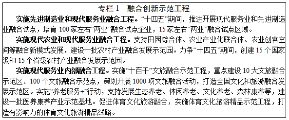 深化信息系統集成服務，賦能“十四五”服務業高質量發展